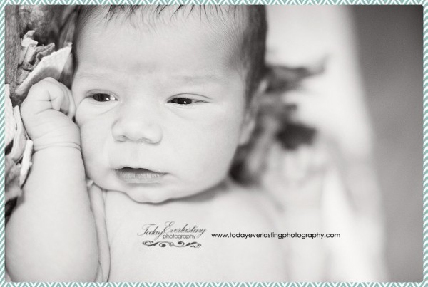 Elmhurst IL Newborn Photographer LaPalio 005