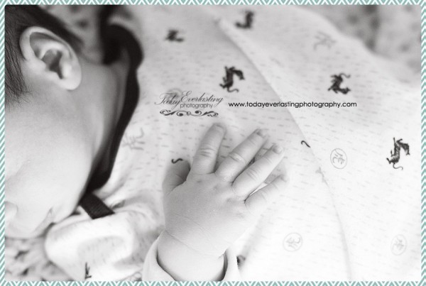 Elmhurst IL Newborn Photographer LaPalio 033