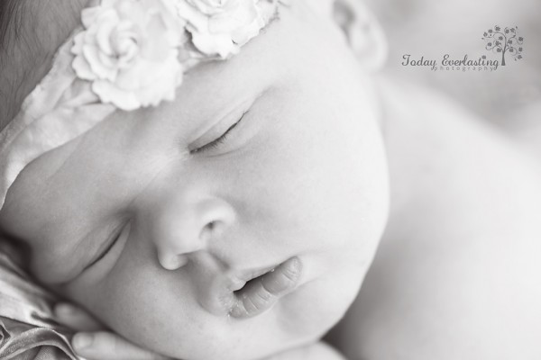 Aurora IL Newborn Photographer Cerrincione 2