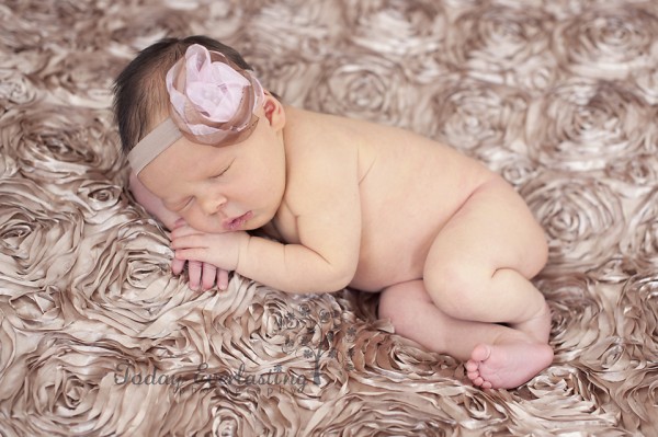 Aurora IL Newborn Photographer Cerrincione 20