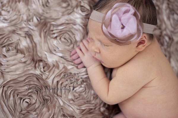 Aurora IL Newborn Photographer Cerrincione 28