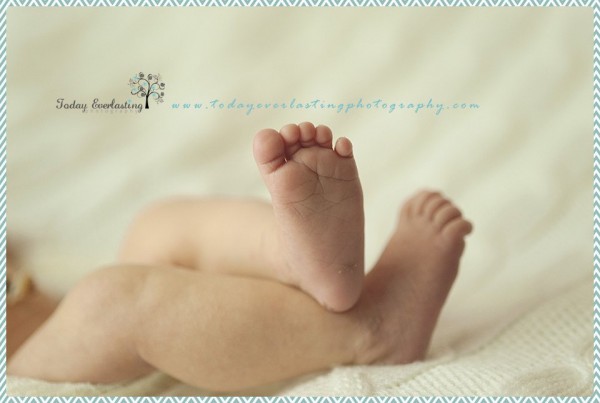 Chicago IL Newborn Photographer Baulac 38