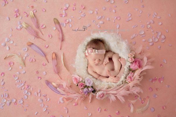 baby in nest with roses and feathers