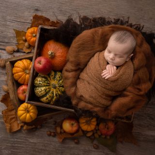 Pumpkin Farm Baby