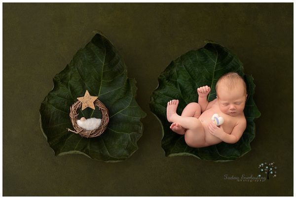 Two leaves on a green background. One leaf has a newborn baby sleeping peacefully, and the other leaf has a small wreath symbolizing a miscarriage.