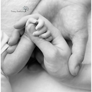 black & white photo showing a newborn's fingers wrapped around its mother's thumb